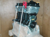 Двигатель 15S4G Зоти Т600, Zotye T600 новый